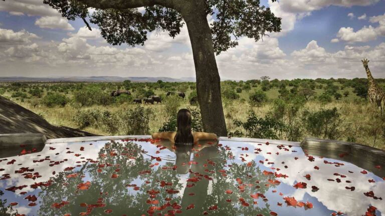 tz-honeymoon-safari